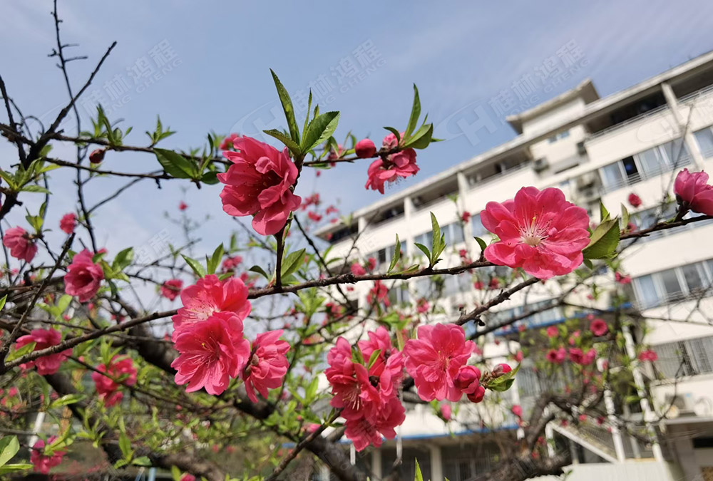桂林鴻程花團(tuán)錦簇，滿園春色，邀您一起共賞春景，共商大計(jì)！